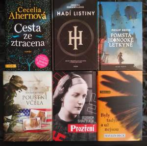 56935233_1278813608923753_4333265747011698688_n