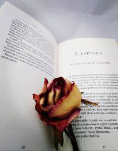 65310122_1308941625948243_8779610024352677888_n (1)