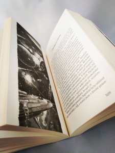 65761187_500859087325282_1277103337145106432_n