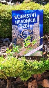 104143892_262253574851418_5735538293821490952_n