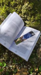 104172140_1143797445976121_1408469030423396519_n