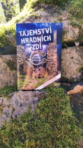 104459188_257489878849073_7547369291477052581_n